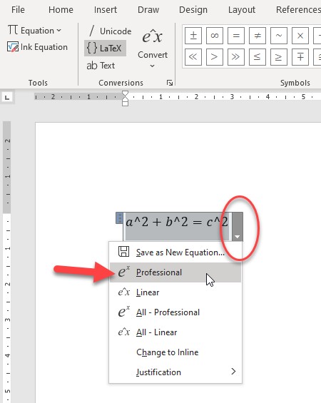 A specific equation's options can be viewed by selecting the drop down arrow located on the right side of the placeholder box for that equation.